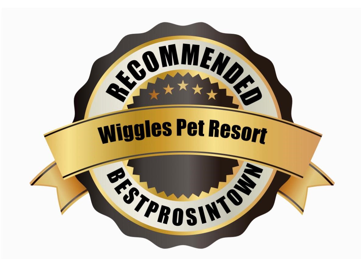 Best Pros In Town 2023