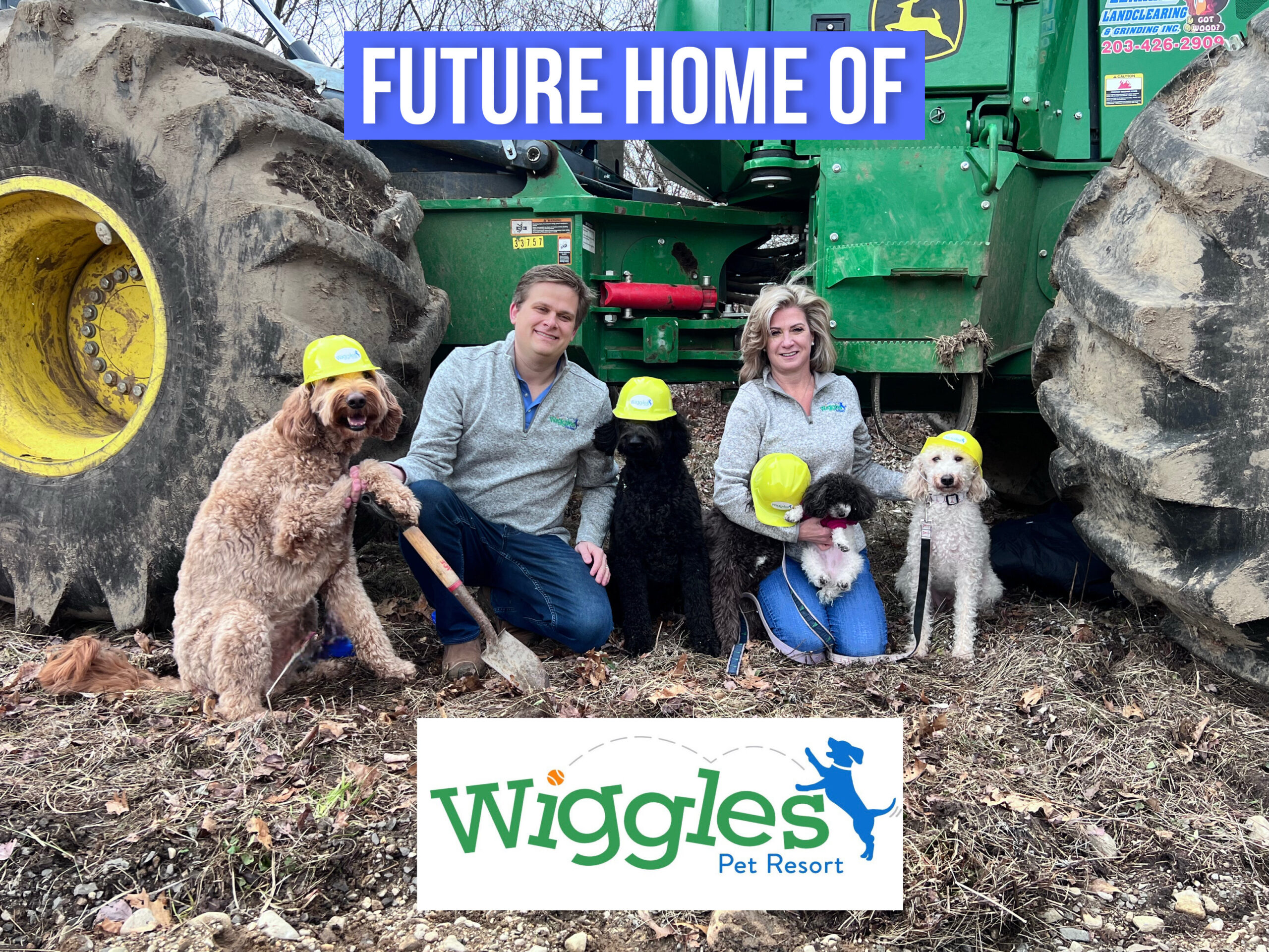 Wiggles Pet Resort at Middlebury